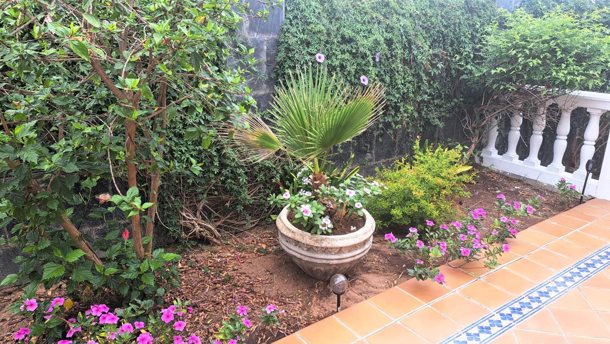 Sevilla, Amalia Holiday home